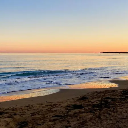 President 리그나노 사비아도로